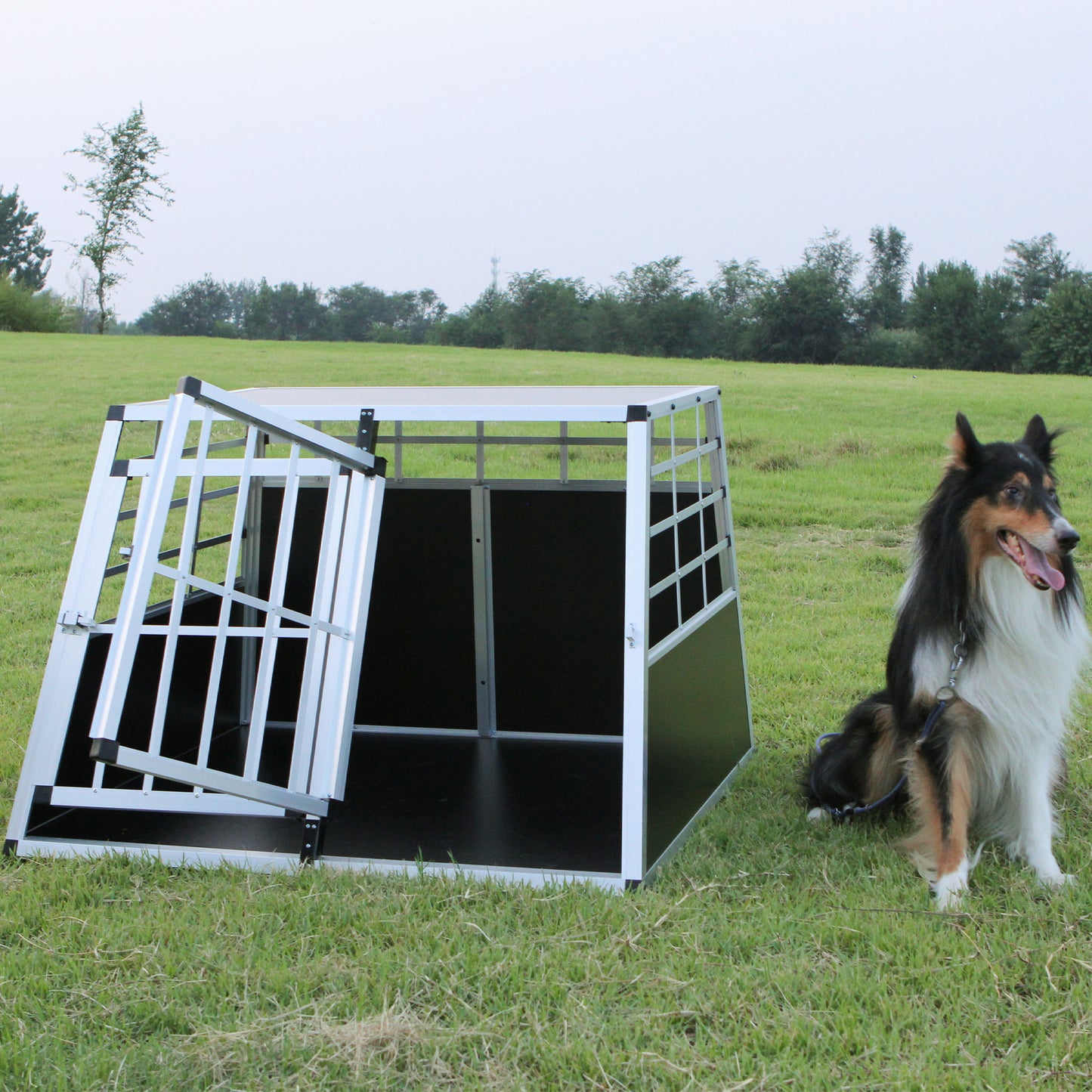 Double Doors Pet Car Transport Cage