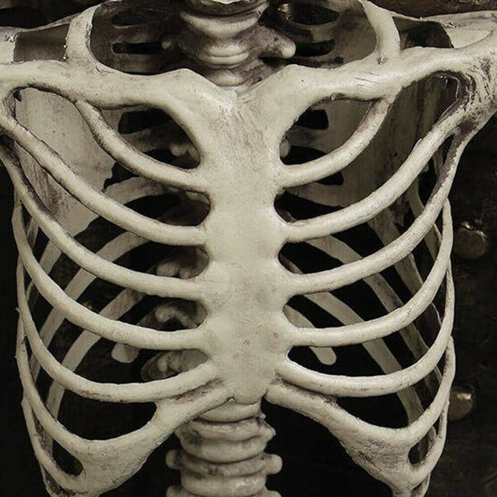 Halloween Skeleton